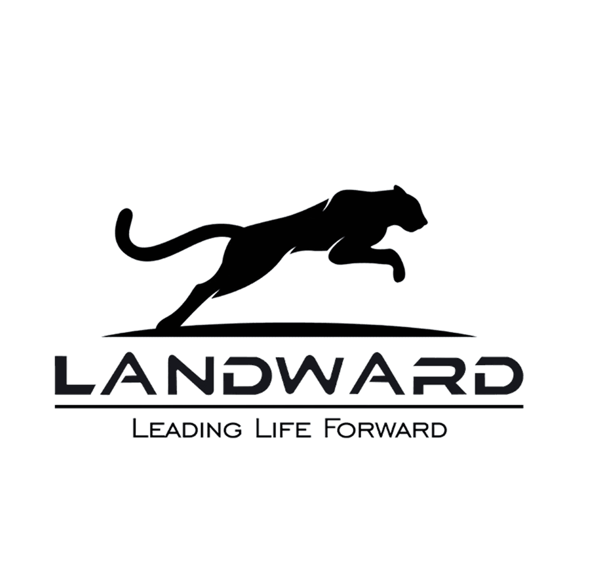 Mini-pelle Landward : la gamme XT arrive au catalogue